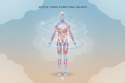 cadenas musculares y emociones